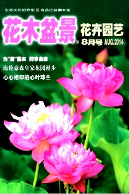 普刊论文发表指南 以《花木盆景》为例